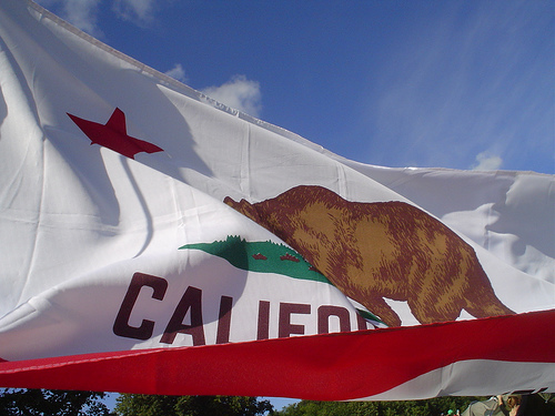 cal-flag
