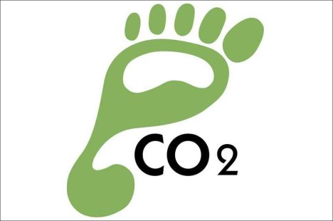 carbon-footprint-green-basics02