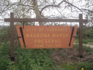 madraona-sign1