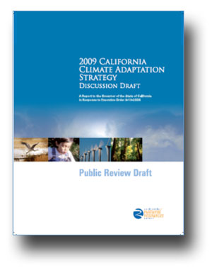 draft_adapation_strategy_300x378