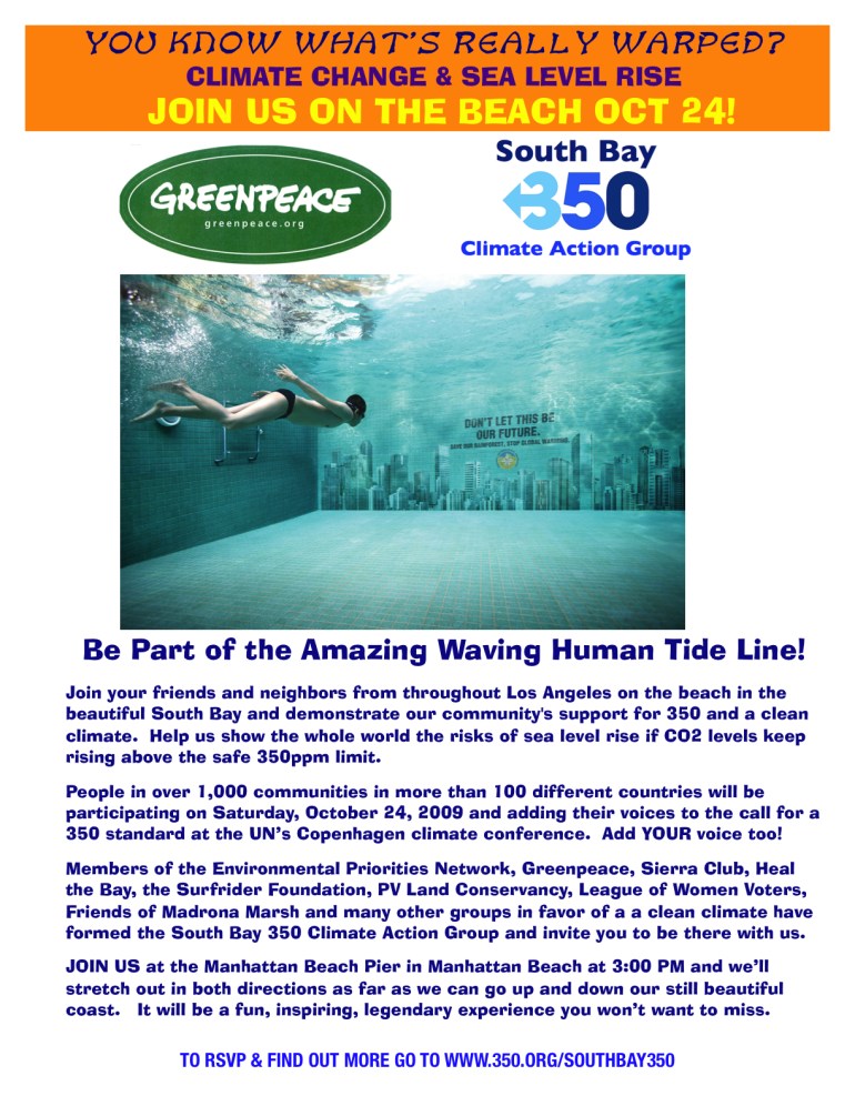 SB 350 WARPED FLYER v1