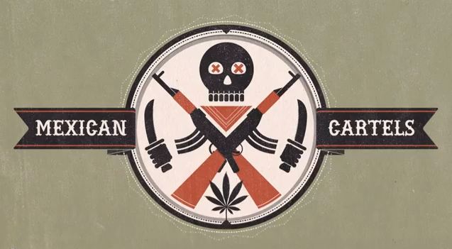 TheViolenceofMexicanDrugCartels_50f6b176049c3